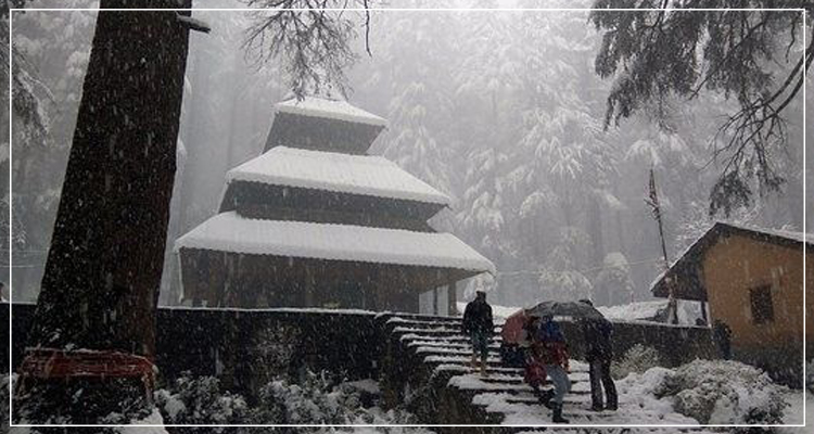manali hotels