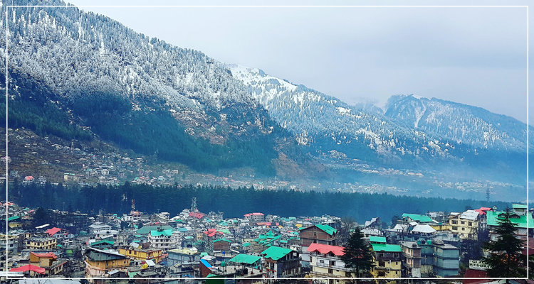 hotels in manali